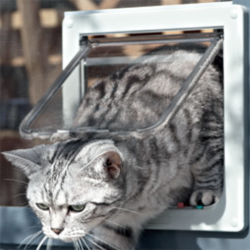 Katzenklappe