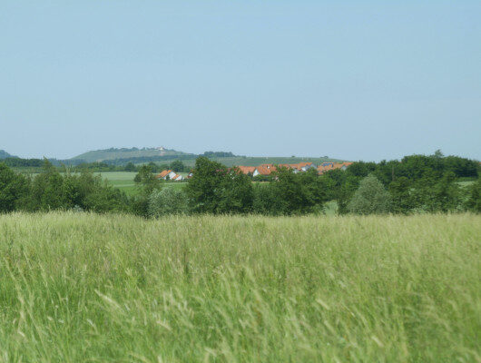 ohneGewebe