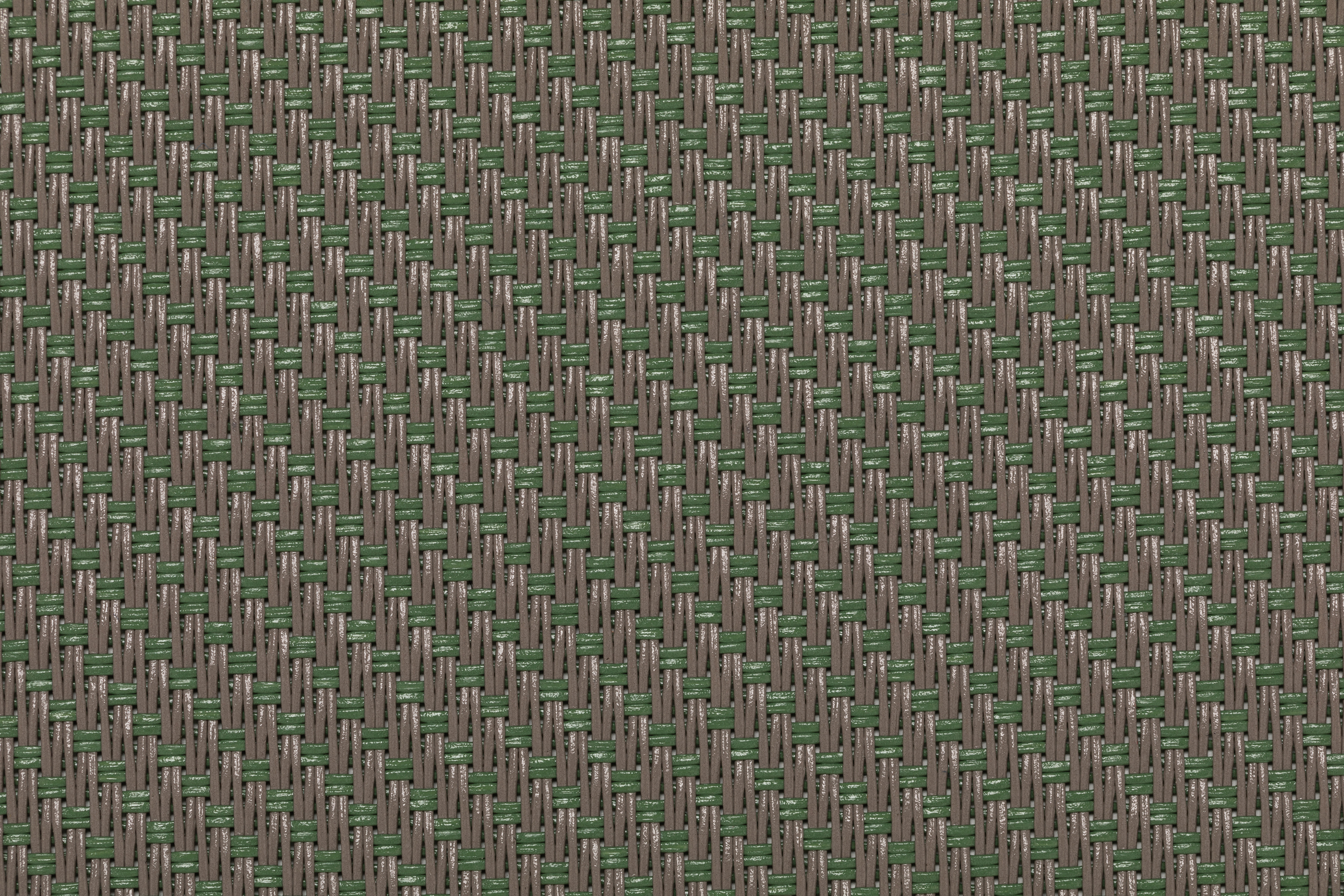 COPACO_OUT_jungle_moss_033043_back